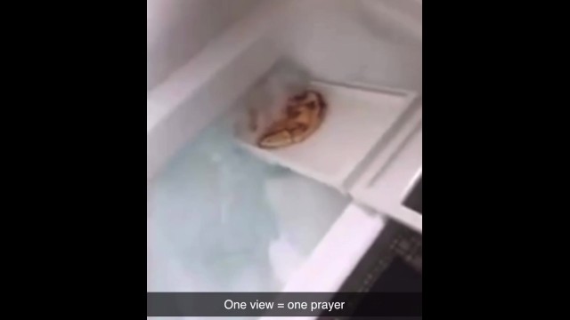 A young pizza getting banged into the bathtub
