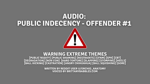 *WARNING INSANE THEMES* Audio: Outdoors Indecency - Offender #1