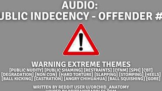 *WARNING INSANE THEMES* Audio: Outside Indecency - Offender #1