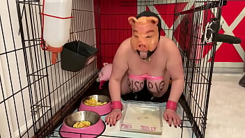 Fuckpig porn justafilthycunt humiliating degradation pig pee caged piss drinking and eating from bowls