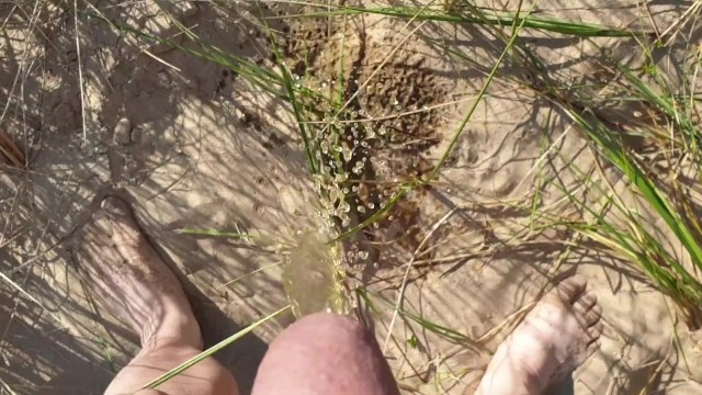 Hubby had to pissing on the beach