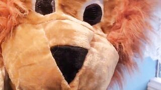 Mascot Gets A Facial