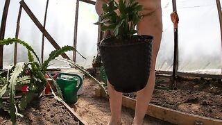 Naked Greenhouse Worker Planting Cacti